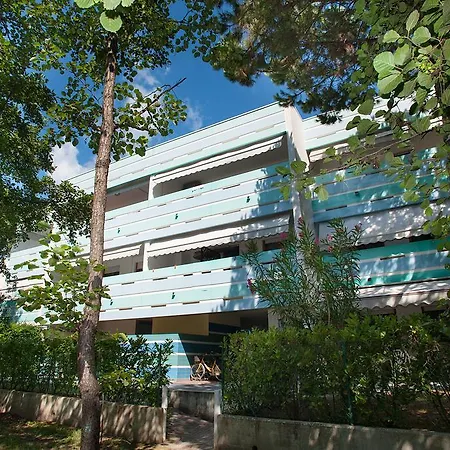Halley Apartment